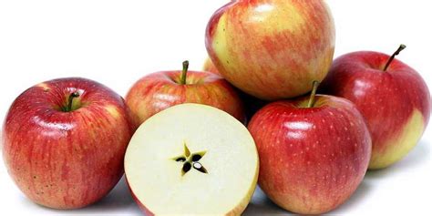 dünyada kaç çeşit elma türü vardır